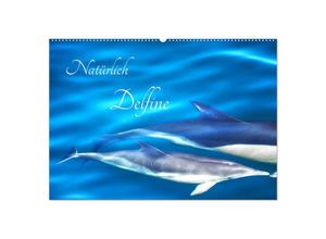 9783383983870 - Natürlich Delfine (Wandkalender 2025 DIN A2 quer) CALVENDO Monatskalender
