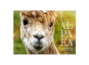 9783383983924 - Alpaka coole Typen mit wilden Frisuren (Wandkalender 2025 DIN A4 quer) CALVENDO Monatskalender