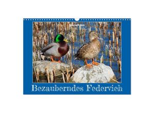 9783383983931 - Bezauberndes Federvieh (Wandkalender 2025 DIN A3 quer) CALVENDO Monatskalender