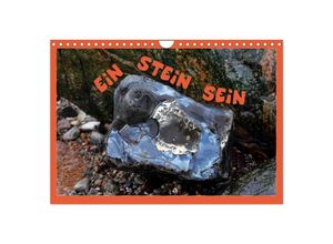 9783383983955 - EIN STEIN SEIN (Wandkalender 2025 DIN A4 quer) CALVENDO Monatskalender
