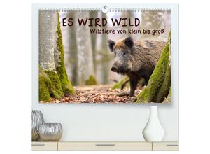 9783383986239 - ES WIRD WILD Wildtiere von klein bis groß (hochwertiger Premium Wandkalender 2025 DIN A2 quer) Kunstdruck in Hochglanz