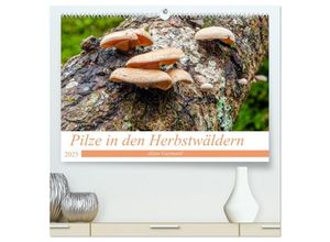 9783383987809 - Pilze in den Herbstwäldern (hochwertiger Premium Wandkalender 2025 DIN A2 quer) Kunstdruck in Hochglanz