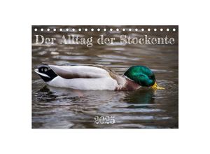 9783383988226 - Der Alltag der Stockente (Tischkalender 2025 DIN A5 quer) CALVENDO Monatskalender