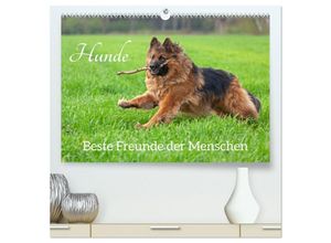 9783383989551 - Hunde - Beste Freunde der Menschen (hochwertiger Premium Wandkalender 2025 DIN A2 quer) Kunstdruck in Hochglanz