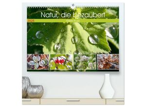 9783383990106 - Natur die bezaubert (hochwertiger Premium Wandkalender 2025 DIN A2 quer) Kunstdruck in Hochglanz