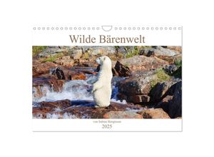 9783383990687 - Wilde Bärenwelt (Wandkalender 2025 DIN A4 quer) CALVENDO Monatskalender