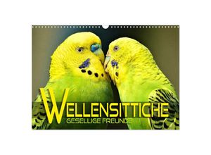 9783383993022 - Wellensittiche - gesellige Freunde (Wandkalender 2025 DIN A3 quer) CALVENDO Monatskalender