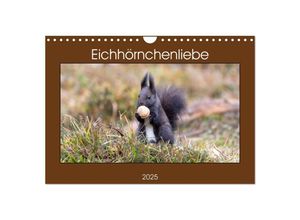 9783383993213 - Eichhörnchenliebe (Wandkalender 2025 DIN A4 quer) CALVENDO Monatskalender