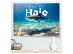 9783383993800 - Haie - Könige der Meere (hochwertiger Premium Wandkalender 2025 DIN A2 quer) Kunstdruck in Hochglanz