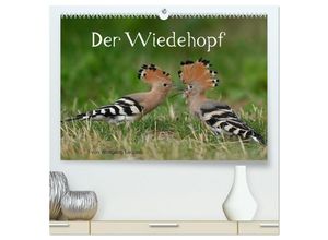 9783383995439 - Der Wiedehopf (hochwertiger Premium Wandkalender 2025 DIN A2 quer) Kunstdruck in Hochglanz