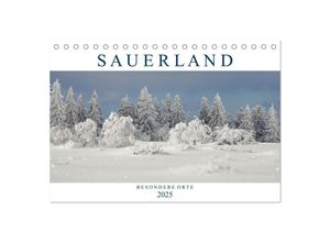 9783383995446 - SAUERLAND - Besondere Orte (Tischkalender 2025 DIN A5 quer) CALVENDO Monatskalender