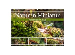 9783383995699 - Natur in Miniatur - Mooswelten (Wandkalender 2025 DIN A2 quer) CALVENDO Monatskalender