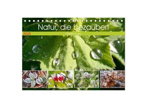 9783383995910 - Natur die bezaubert (Tischkalender 2025 DIN A5 quer) CALVENDO Monatskalender