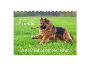 9783383995996 - Hunde - Beste Freunde der Menschen (Wandkalender 2025 DIN A3 quer) CALVENDO Monatskalender