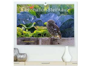 9783383996184 - Faszination Steinkauz (hochwertiger Premium Wandkalender 2025 DIN A2 quer) Kunstdruck in Hochglanz