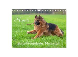 9783383996238 - Hunde - Beste Freunde der Menschen (Wandkalender 2025 DIN A4 quer) CALVENDO Monatskalender