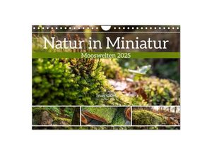 9783383996313 - Natur in Miniatur - Mooswelten (Wandkalender 2025 DIN A4 quer) CALVENDO Monatskalender