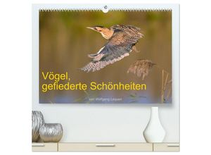 9783383996481 - Vögel Gefiederte Schönheiten (hochwertiger Premium Wandkalender 2025 DIN A2 quer) Kunstdruck in Hochglanz