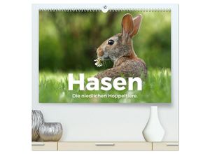 9783383996863 - Hasen - Die niedlichen Hoppeltiere (hochwertiger Premium Wandkalender 2025 DIN A2 quer) Kunstdruck in Hochglanz