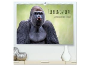 9783383997495 - Lieblingstiere - Schönheiten aus dem Tierreich (hochwertiger Premium Wandkalender 2025 DIN A2 quer) Kunstdruck in Hochglanz