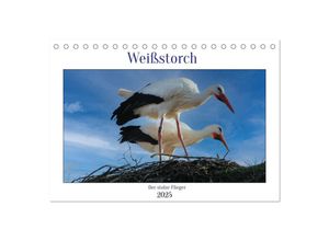 9783383997532 - Weißstorch der stolze Flieger (Tischkalender 2025 DIN A5 quer) CALVENDO Monatskalender