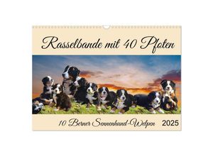 9783383998447 - Rasselbande mit 40 Pfoten (Wandkalender 2025 DIN A3 quer) CALVENDO Monatskalender
