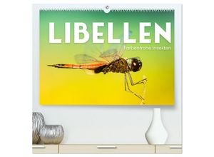 9783383999703 - Libellen - Farbenfrohe Insekten (hochwertiger Premium Wandkalender 2025 DIN A2 quer) Kunstdruck in Hochglanz