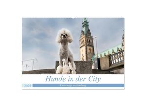 9783383999710 - Hunde in der City - Unterwegs in Hamburg (Wandkalender 2025 DIN A2 quer) CALVENDO Monatskalender