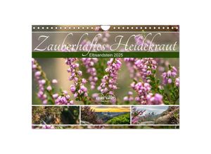 9783383999802 - Zauberhaftes Heidekraut - Elbsandstein (Wandkalender 2025 DIN A4 quer) CALVENDO Monatskalender