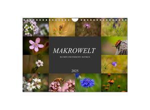 9783383999888 - Makrowelt - Blumen und Insekten im Fokus (Wandkalender 2025 DIN A4 quer) CALVENDO Monatskalender
