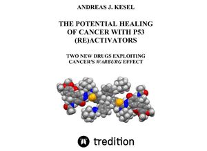 9783384003119 - THE POTENTIAL HEALING OF CANCER WITH P53 (RE)ACTIVATORS - Andreas Johannes Kesel Kartoniert (TB)