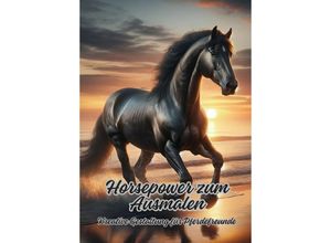 9783384087133 - Horsepower zum Ausmalen - Diana Kluge Kartoniert (TB)