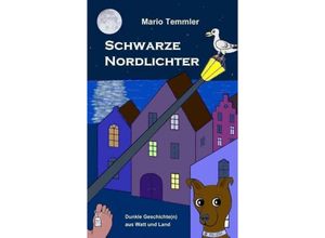 9783384105363 - Schwarze Nordlichter - Mario Temmler Kartoniert (TB)