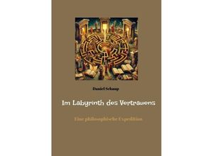 9783384127358 - Im Labyrinth des Vertrauens - Daniel Schaup Kartoniert (TB)