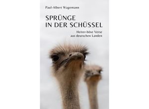 9783384167330 - Sprünge in der Schüssel - 148 zeitgeistkritische Gedichte im Stil von Limericks - Paul-Albert Wagemann Kartoniert (TB)