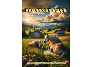 9783384172419 - Galopp ins Glück - Maxi Pinselzauber Kartoniert (TB)