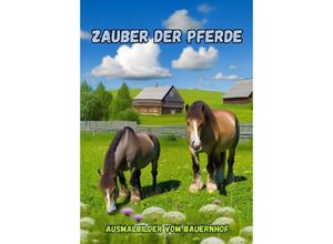 9783384172457 - Zauber der Pferde - Maxi Pinselzauber Kartoniert (TB)