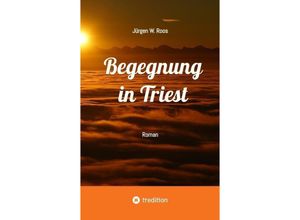 9783384181237 - Begegnung in Triest - Ein spannender Politthriller - Jürgen W Roos Kartoniert (TB)