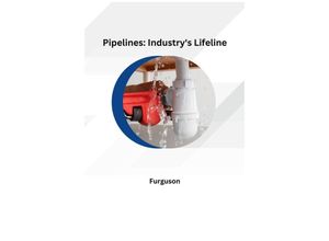 9783384222022 - Pipelines Industrys Lifeline - Furguson Kartoniert (TB)