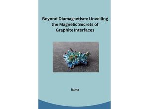 9783384231307 - Beyond Diamagnetism Unveiling the Magnetic Secrets of Graphite Interfaces - Nama Kartoniert (TB)