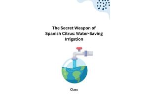 9783384232496 - The Secret Weapon of Spanish Citrus Water-Saving Irrigation - Class Kartoniert (TB)