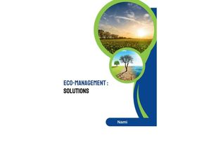 9783384234810 - Eco-Management Solutions - Nami Kartoniert (TB)