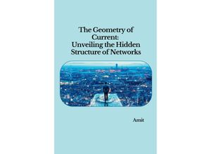 9783384251411 - The Geometry of Current Unveiling the Hidden Structure of Networks - Amit Kartoniert (TB)