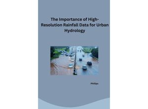 9783384253071 - The Challenge of Time Finding High-Resolution Rainfall Data for Urban Areas - Phillips Kartoniert (TB)