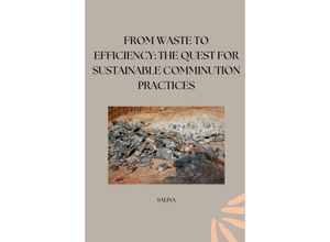 9783384253118 - From Waste to Efficiency The Quest for Sustainable Comminution Practices - Salina Kartoniert (TB)