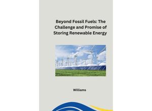 9783384253811 - Beyond Fossil Fuels The Challenge and Promise of Storing Renewable Energy - Williams Kartoniert (TB)