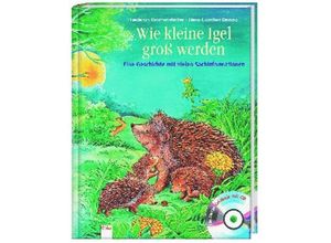 9783401089690 - Wie kleine Igel groß werden - Friederun Reichenstetter Hans G Döring Gebunden