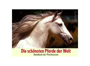 9783401453750 - Die schönsten Pferde der Welt - Judith Dutson Kartoniert (TB)