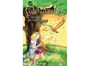 9783401604572 - Im Kreis der Goldflügel   Eulenzauber Bd10 - Ina Brandt Gebunden