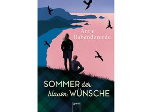 9783401605401 - Sommer der blauen Wünsche - Antje Babendererde Kartoniert (TB)